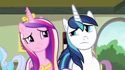 Size: 1920x1080 | Tagged: safe, derpibooru import, screencap, linky, parasol, princess cadance, shining armor, shoeshine, alicorn, earth pony, pony, unicorn, a flurry of emotions, season 7, confused, female, image, looking at each other, looking at someone, male, mare, png, stallion