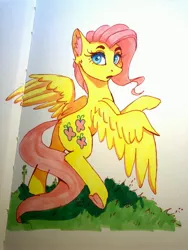 Size: 3024x4032 | Tagged: safe, artist:galinn-arts, derpibooru import, fluttershy, pony, female, image, jpeg, mare, solo, traditional art