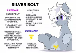 Size: 2064x1457 | Tagged: safe, artist:mochi_nation, derpibooru import, oc, oc:silver bolt, unofficial characters only, earth pony, pony, engrish, female, image, jpeg, mare, reference sheet, simple background, sitting, solo, white background