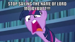 Size: 1066x600 | Tagged: safe, derpibooru import, edit, edited screencap, editor:twi clown, screencap, twilight sparkle, twilight sparkle (alicorn), alicorn, pony, every little thing she does, angry, caption, female, image, image macro, lord moldybutt, mare, png, reference, solo, text, the grim adventures of billy and mandy