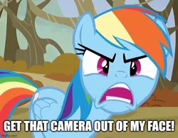 Size: 645x500 | Tagged: safe, artist:thegamerpainter, derpibooru import, edit, edited screencap, screencap, rainbow dash, pegasus, pony, season 5, tanks for the memories, angry, anti-bronybait, caption, chowder, cropped, female, image, image macro, jpeg, looking at you, mare, mung daal, open mouth, ragebow dash, rainbow dash is best facemaker, reference, solo, teeth, text
