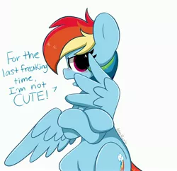 Size: 4096x3959 | Tagged: safe, artist:kittyrosie, rainbow dash, pegasus, pony, annoyed, backwards cutie mark, blatant lies, blushing, cute, dashabetes, female, hiding behind wing, i'm not cute, looking at you, mare, simple background, solo, talking to viewer, tsunderainbow, tsundere, white background, wings