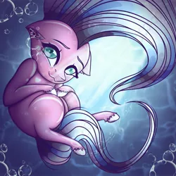 Size: 2048x2048 | Tagged: safe, artist:ericsson, derpibooru import, oc, oc:clear skies, oc:clear sky, earth pony, pony, bubble, returned, shine, solo, underwater, water