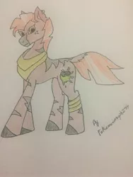 Size: 2448x3264 | Tagged: safe, artist:pinkiexneomorph277, derpibooru import, oc, oc:blight apple charm, unofficial characters only, hybrid, pony, zony, female, freckles, mare, offspring, parent:big macintosh, parent:zecora, parents:macora, simple background, solo, traditional art, white background