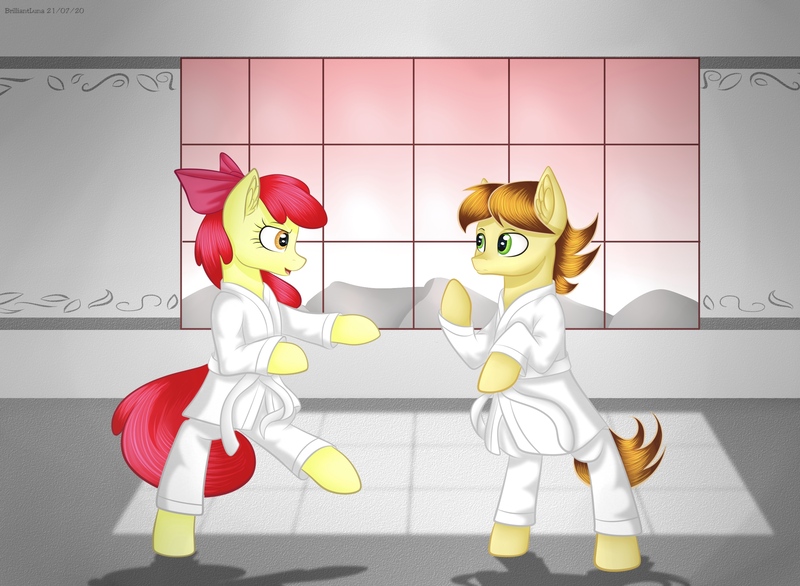 Size: 2730x2000 | Tagged: safe, artist:brilliant-luna, derpibooru import, apple bloom, oc, oc:mandopony, pony, bipedal, bow, dojo, duo, female, gi, male, martial arts, older, older apple bloom, open mouth, request, smiling, trousers, window