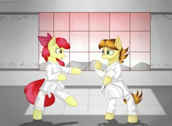 Size: 2730x2000 | Tagged: safe, artist:brilliant-luna, derpibooru import, apple bloom, oc, oc:mandopony, pony, bipedal, bow, dojo, duo, female, gi, male, martial arts, older, older apple bloom, open mouth, request, smiling, trousers, window