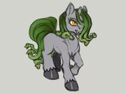 Size: 1600x1200 | Tagged: safe, artist:noupie, derpibooru import, ponified, gorgon, medusa, pony, gray background, simple background, solo