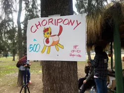 Size: 600x450 | Tagged: safe, artist:ionipony, artist:wrath-marionphauna, derpibooru import, oc, oc:choripony, unofficial characters only, bread, chile, chilean, choripan, convention, food, meta, picture, traditional art