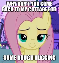 Size: 500x535 | Tagged: safe, derpibooru import, edit, edited screencap, screencap, fluttershy, flutter brutter, caption, cropped, female, image macro, imminent sex, lidded eyes, looking at you, painfully innocent fluttershy, solo, text