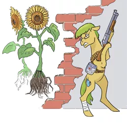 Size: 824x800 | Tagged: safe, artist:adeptus-monitus, derpibooru import, oc, oc:monitus, unofficial characters only, earth pony, undead, zombie, flower, gun, medkit, shotgun, sunflower, weapon