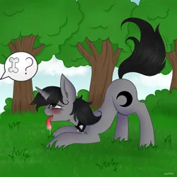 Size: 5000x5000 | Tagged: safe, artist:vaiola, derpibooru import, oc, oc:howl, unofficial characters only, pony, unicorn, behaving like a dog, blushing, bubble, collar, commission, cute, drool, ear fluff, female, fetish, forest, grass, high res, horn, looking up, mare, open mouth, park, pet play, playful, playing, salivating, scenery, solo, spiked collar, tail wag, text, tongue out, tree