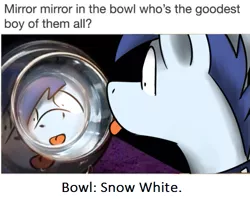 Size: 535x426 | Tagged: safe, artist:sugar morning, derpibooru import, edit, oc, oc:slipstream, unofficial characters only, pony, :p, boofy, caption, collar, irl, male, meme, photo, ponified animal photo, pot, reflection, silly, snow white, solo, stallion, tongue out, wat, wide eyes