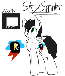 Size: 1769x2048 | Tagged: safe, artist:askhypnoswirl, derpibooru import, oc, oc:skysprinter, unofficial characters only, colors, cutie mark, name, reference sheet, simple, simple background, solo, white background