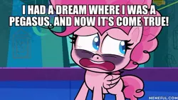 Size: 600x337 | Tagged: safe, derpibooru import, edit, edited screencap, screencap, pinkie pie, pegasus, pony, my little pony: pony life, potion mystery, spoiler:pony life s01e13, spoiler:pony life s01e19, animation error, caption, female, image macro, mare, memeful.com, pegasus pinkie pie, race swap, text