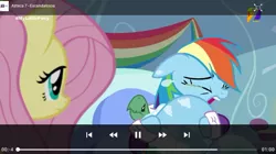 Size: 540x303 | Tagged: safe, derpibooru import, screencap, fluttershy, rainbow dash, tank, tanks for the memories, azteca 7, crying, pet, tv azteca