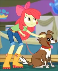 Size: 927x1136 | Tagged: safe, derpibooru import, screencap, apple bloom, winona, dog, best in show: the victory lap, equestria girls, equestria girls series, spoiler:eqg series (season 2), adorabloom, apple bloom's bow, belt, boots, bow, clothes, collar, cute, duo, female, hair bow, jeans, leash, looking at something, pants, shirt, shoes, smiling, tongue out, winonabetes