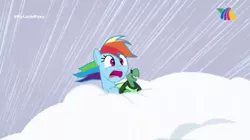 Size: 540x303 | Tagged: safe, derpibooru import, screencap, rainbow dash, tank, tanks for the memories, azteca 7, palindrome get, screaming, snow storm, tv azteca