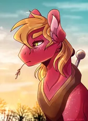 Size: 2200x3000 | Tagged: safe, artist:rainsrandomness, derpibooru import, big macintosh, earth pony, pony, eyebrows, freckles, male, solo, yoke