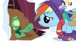 Size: 540x303 | Tagged: safe, derpibooru import, screencap, rainbow dash, tank, pegasus, pony, reptile, tortoise, tanks for the memories, azteca 7, clothes, earmuffs, female, male, mare, snow, tv azteca, winter, winter outfit