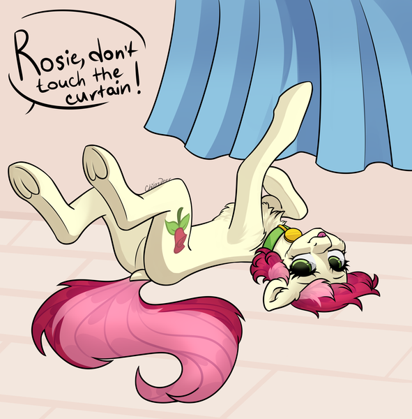 Size: 2500x2538 | Tagged: safe, artist:chibadeer, derpibooru import, roseluck, earth pony, pony, behaving like a cat, collar, cute, dialogue, dock, featureless crotch, female, fluffy, frog (hoof), mare, on back, pet tag, pony pet, rosepet, solo, tongue out, underhoof