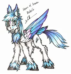 Size: 2448x2572 | Tagged: safe, artist:creature.exist, derpibooru import, oc, oc:rebelb.winn, hybrid, original species, pegasus, pony, photo, solo