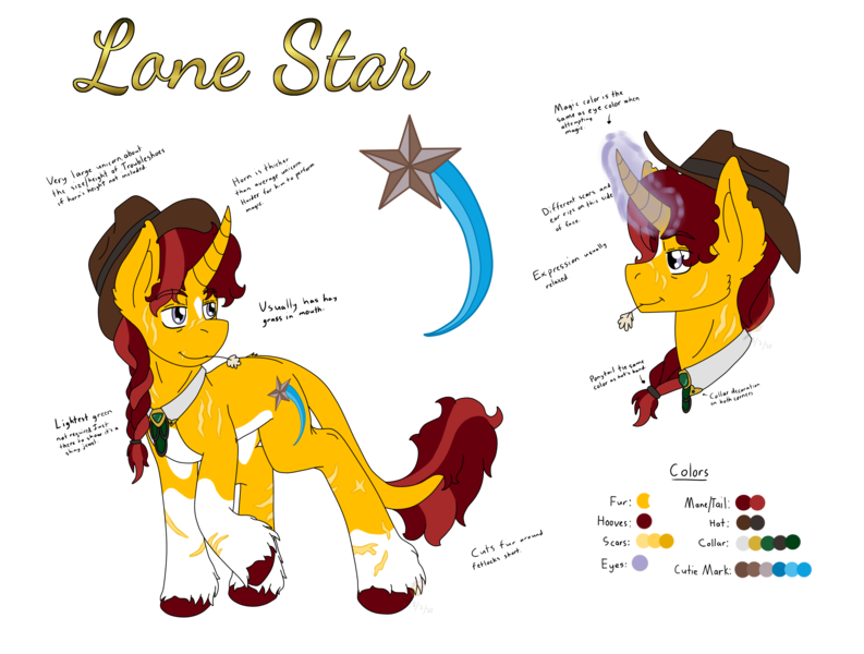 Size: 2767x2093 | Tagged: safe, artist:midnightfire1222, derpibooru import, oc, oc:lone star, pony, unicorn, reference sheet, simple background, solo, transparent background