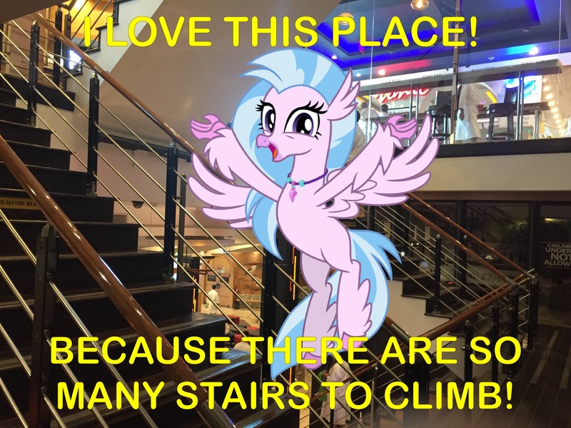 Size: 3264x2448 | Tagged: safe, artist:cheezedoodle96, artist:topsangtheman, derpibooru import, silverstream, hippogriff, pony, caption, happy, irl, looking at you, meme, photo, ponies in real life, spa castle, stairs, that hippogriff sure does love stairs