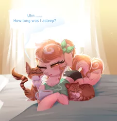 Size: 1720x1786 | Tagged: safe, artist:confetticakez, derpibooru import, oc, oc:cinnamon spangled, unofficial characters only, cat, earth pony, pony, alternate hairstyle, backlit, bed, bedroom, blushing, bow, breakfast in bed, clothes, coffee, curtains, female, furrowed brow, mare, messy mane, pajamas, shirt, shorts, solo, squint, t-shirt, underhoof, window