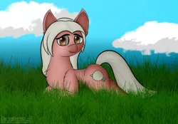 Size: 3096x2160 | Tagged: safe, artist:darbedarmoc, derpibooru import, oc, oc:patty, earth pony, pony, art trade, chest fluff, cloud, ear fluff, grass, looking at you, sky, solo