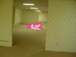 Size: 640x480 | Tagged: safe, derpibooru import, edit, editor:theedgyduck, pinkie pie, earth pony, pony, backrooms, curled up, cute, irl, meme, photo, ponies in real life, sleeping, the backrooms