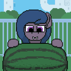 Size: 800x800 | Tagged: safe, artist:vohd, derpibooru import, oc, unofficial characters only, bat pony, pony, animated, canterlot, fangs, food, frame by frame, not blood, pixel art, watermelon