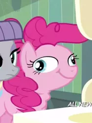 Size: 355x472 | Tagged: derpibooru import, does this look like the face of fun, faic, great moments in animation, maud pie, maud pie (episode), pinkie pie, ponk, safe, screencap