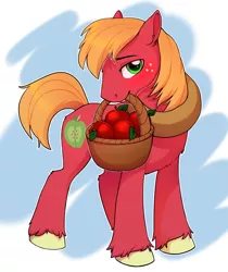 Size: 2289x2723 | Tagged: safe, artist:kyotokisha15, derpibooru import, big macintosh, earth pony, pony, apple, basket, colored hooves, cute, cutie mark, digital art, food, high res, looking at you, macabetes, male, mouth hold, solo, stallion, tail, unshorn fetlocks