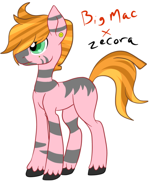 Size: 2235x2684 | Tagged: safe, artist:miikei, derpibooru import, oc, unnamed oc, earth pony, hybrid, pony, zony, blank flank, ear piercing, earring, jewelry, parent:big macintosh, parent:zecora, parents:macora, piercing, simple background, solo, stripes, transparent background