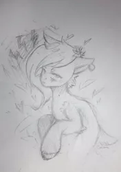 Size: 537x763 | Tagged: safe, artist:kiwwsplash, derpibooru import, oc, unofficial characters only, earth pony, pony, ear piercing, earth pony oc, flower, flower in hair, grayscale, lineart, monochrome, piercing, solo, traditional art