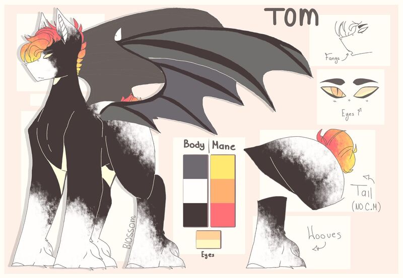 Size: 1920x1328 | Tagged: safe, artist:shinningblossom12, derpibooru import, oc, oc:tom, unofficial characters only, bat pony, pony, bat pony oc, bat wings, hoof fluff, male, reference sheet, solo, stallion, wings