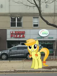 Size: 2448x3264 | Tagged: safe, artist:90sigma, artist:topsangtheman, derpibooru import, jonagold, marmalade jalapeno popette, earth pony, pony, apple family member, building, irl, looking at you, photo, ponies in real life, restaurant, solo