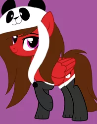 Size: 1896x2418 | Tagged: safe, artist:circuspaparazzi5678, derpibooru import, oc, oc:panda flare, bear, panda, pegasus, pony, base used, brown hair, clothes, cute, cutie mark, panda hat, paws, red coat, socks, solo