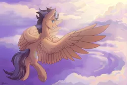 Size: 2551x1701 | Tagged: safe, artist:dorkmark, derpibooru import, oc, oc:brightsky wing, pegasus, pony, cloud, flying, solo