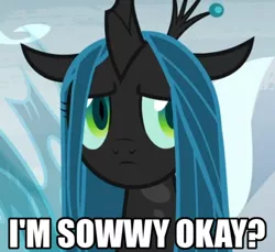 Size: 584x535 | Tagged: safe, derpibooru import, edit, edited screencap, screencap, queen chrysalis, changeling, changeling queen, pony, frenemies (episode), season 9, spoiler:s09, a better ending for chrysalis, adorable distress, adorkable, alternate ending, alternate scenario, alternate universe, anxiety, apology, awkward, baby talk, breakdown, caption, character development, cropped, cute, cutealis, dialogue, dork, dorkalis, faic, female, frown, good end, image macro, impact font, insecure, looking at you, majestic as fuck, mare, meta, nervous, precious, reaction image, redemption, reformed, regret, sad, sadorable, shy, silly, silly pony, solo, sorry, spread wings, standing, talking, text, what if, wings, worried
