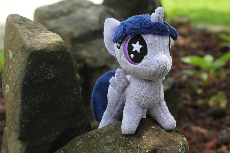 Size: 5184x3456 | Tagged: artist needed, safe, derpibooru import, photographer:sometwifag, twilight sparkle, alicorn, female, irl, outdoors, photo, plushie, rock, starry eyes, twilight sparkle (alicorn), wingding eyes