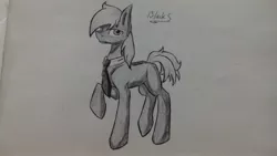 Size: 2560x1440 | Tagged: artist needed, source needed, safe, derpibooru import, oc, oc:silver bristle, unofficial characters only, earth pony, pony, cutie mark, looking at you, male, missing accessory, missing cutie mark, necktie, one hoof raised, paper, photo, raised hoof, solo, stallion, traditional art