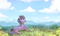 Size: 3326x2021 | Tagged: safe, artist:mirroredsea, derpibooru import, oc, oc:geekbrony, oc:techno drift, unofficial characters only, pony, unicorn, cloud, cloudy, commission, nature, photo, scenery, sky, solo