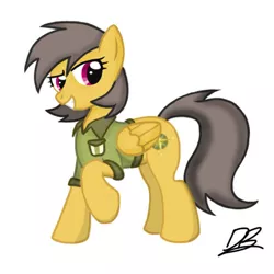 Size: 648x648 | Tagged: safe, artist:divebomb5, derpibooru import, daring do, alternate hairstyle, clothes, female, shirt, smiling, solo