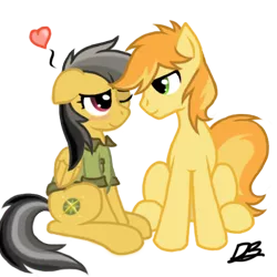 Size: 432x432 | Tagged: safe, artist:divebomb5, derpibooru import, braeburn, daring do, blushing, braedo, clothes, digital art, hatless, heart, missing accessory, no clothes, one eye closed, shipping, shirt, simple background, smiling, transparent background