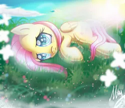 Size: 1280x1111 | Tagged: safe, artist:melanyschaffer, derpibooru import, fluttershy, rainbow dash, butterfly, insect, pegasus, pony, blushing, cloud, crepuscular rays, cute, duo, female, folded wings, grass, lens flare, looking at you, lying down, mare, outdoors, sad, sadorable, shiny eyes, shyabetes, side, solo focus, sparkly eyes, wings