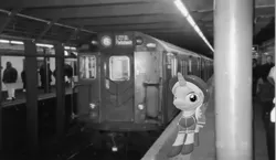 Size: 1988x1150 | Tagged: safe, artist:topsangtheman, derpibooru import, cornetta, pony, unicorn, 3d, irl, looking at you, monochrome, new york city, new york city subway, photo, ponies in real life, solo, source filmmaker