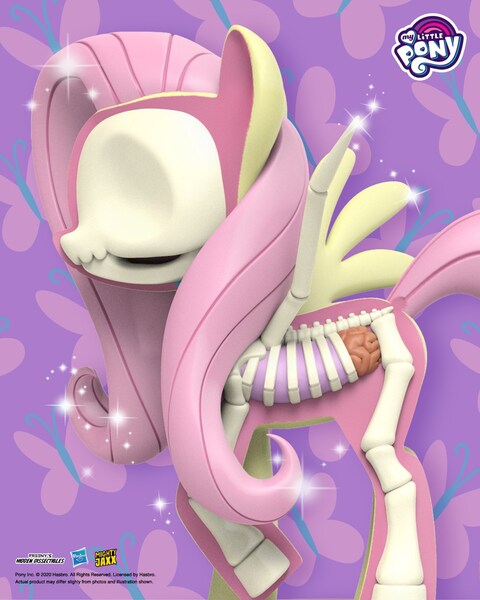 Size: 1638x2048 | Tagged: safe, derpibooru import, official, part of a set, fluttershy, pegasus, pony, 3d render, bone, dissectibles, female, freeny's hidden dissectibles, merchandise, my little pony logo, organs, poster, skeleton, solo