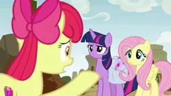 Size: 1280x720 | Tagged: safe, derpibooru import, screencap, apple bloom, fluttershy, twilight sparkle, alicorn, growing up is hard to do, bag, flower, older, older apple bloom, saddle bag, twilight sparkle (alicorn), wishing flower