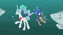 Size: 1920x1080 | Tagged: safe, derpibooru import, screencap, princess celestia, princess luna, alicorn, great white shark, pony, shark, between dark and dawn, alternate hairstyle, barehoof, bikini, bubble, clothes, fangs, female, hair bun, holding breath, hungry, mare, oh dear, oh no, ponytail, red swimsuit, royal sisters, scared, sharp teeth, siblings, sisters, smiling, striped swimsuit, swimming, swimsuit, tail bun, teeth, underwater, wide eyes